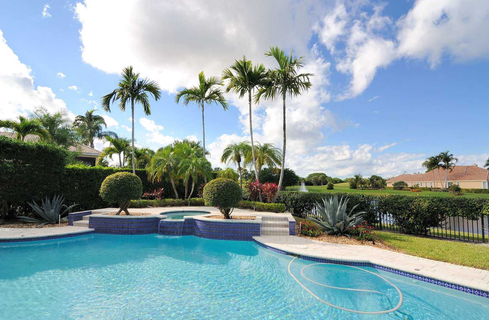 How to grow a palm tree