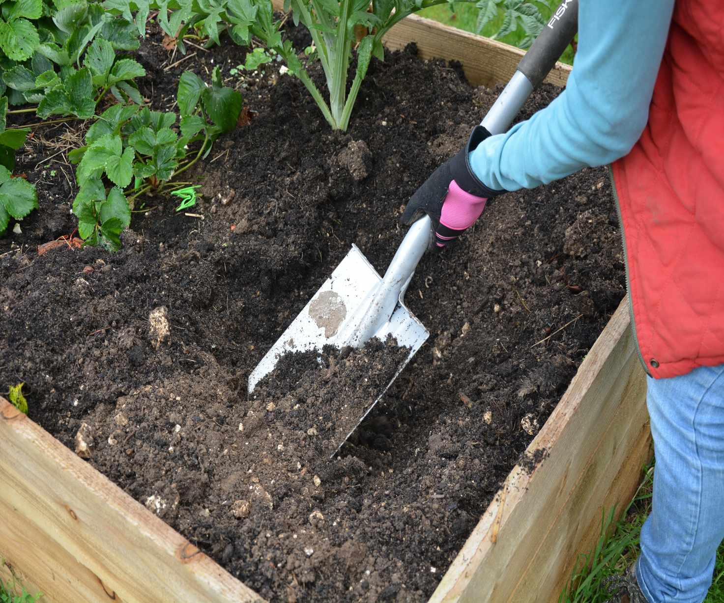 Adding compost to a no-dig raised bed