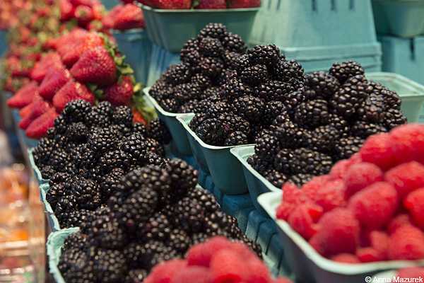 Vancouver Top 5: Granville Island Market