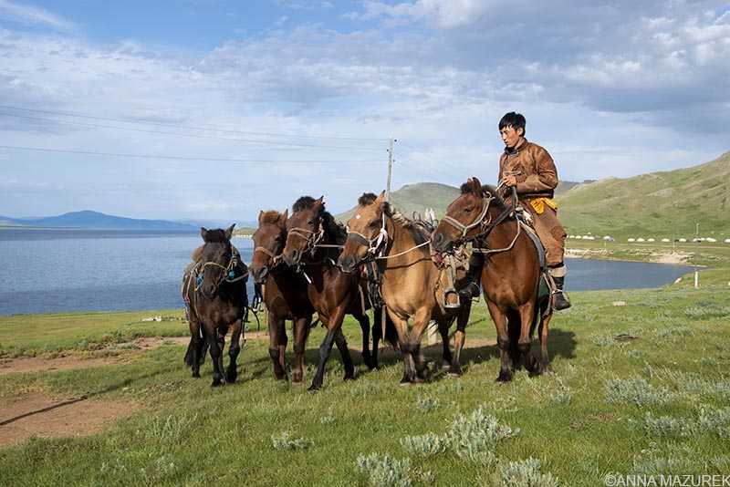 Lake Terkhiin Tsagaan Nuur