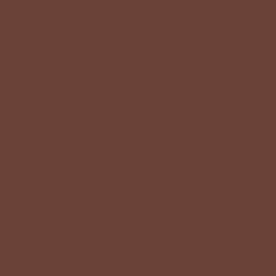 Aurora Brown by Sherwin Williams