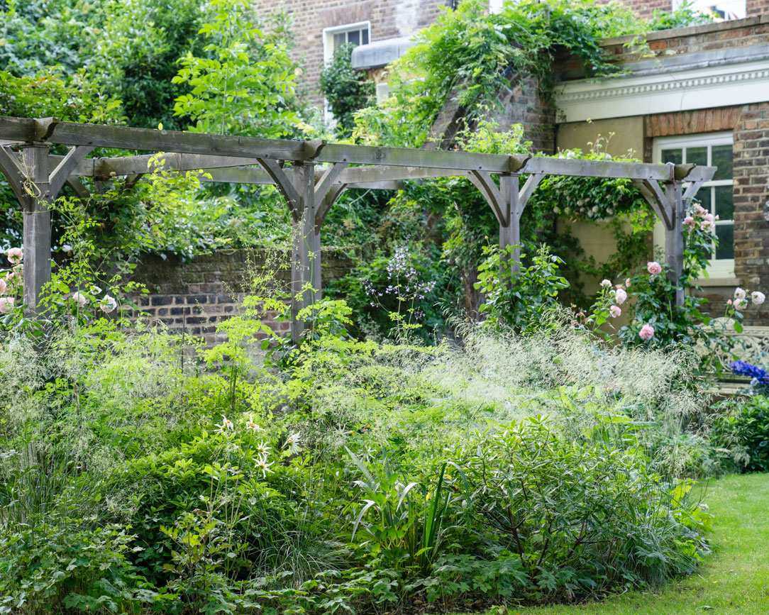 Wooden pergola with planting around and climbing roses creeping up the supports in garden design by Jo Thompson Garden Design