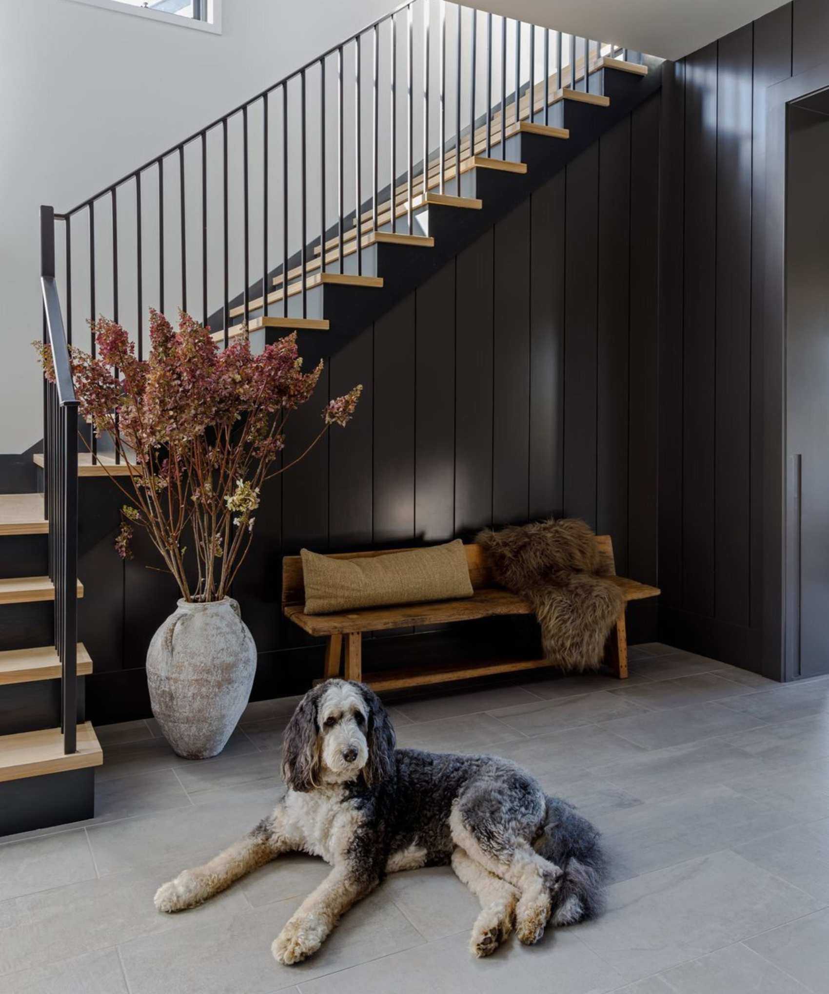 Dog on gray vinyl floor in front of dark grey walls, wooden stairs, bench with cushion and throw, and large flowers in vase in modern home entryway