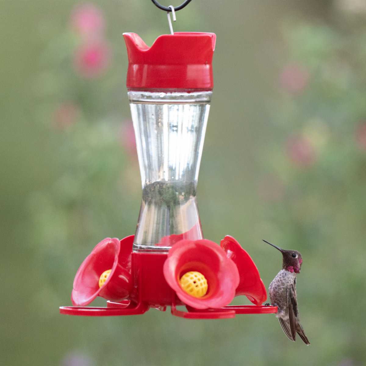 Bay Isle Home&trade; Elson Pinch-Waist Hummingbird Feeder &amp; Reviews | Wayfair