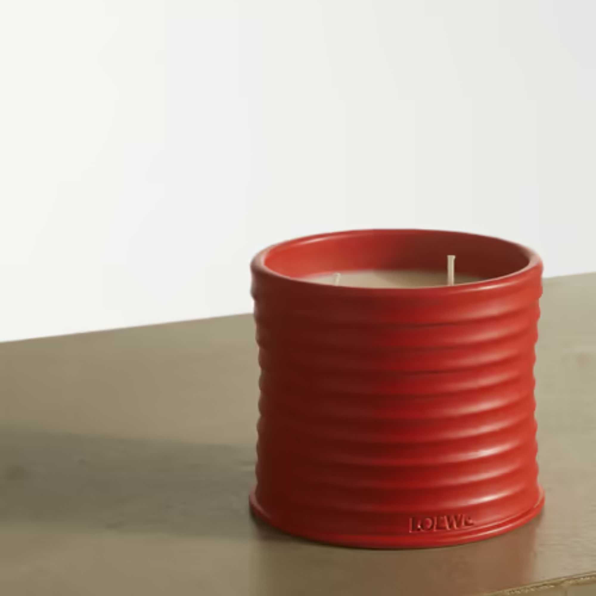 Loewe Tomato Leaf candle
