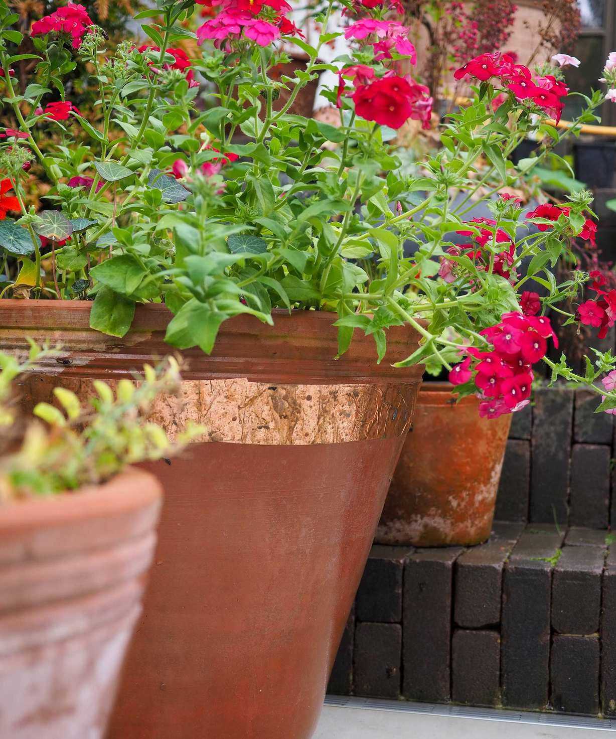 copper tape around flowerpots