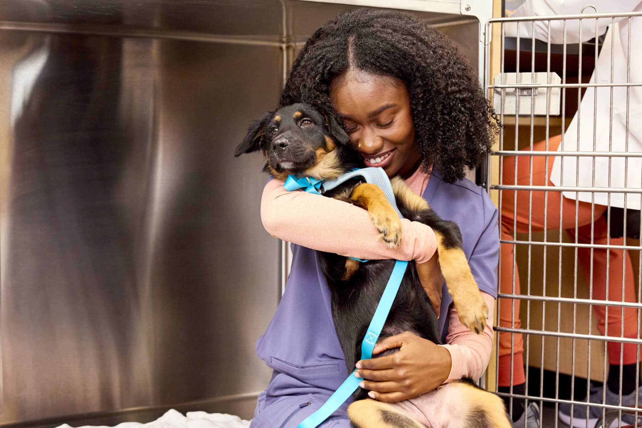 The Best Preventive Care For Dogs, For Every Life Stage