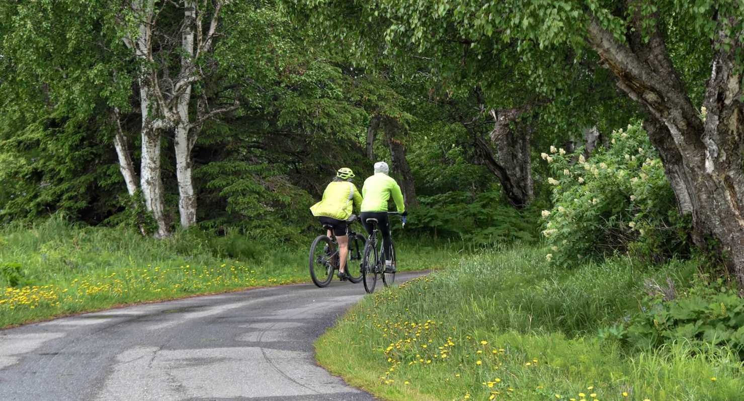 Retirement Income Planning to Protect Living Longer and Healthier
