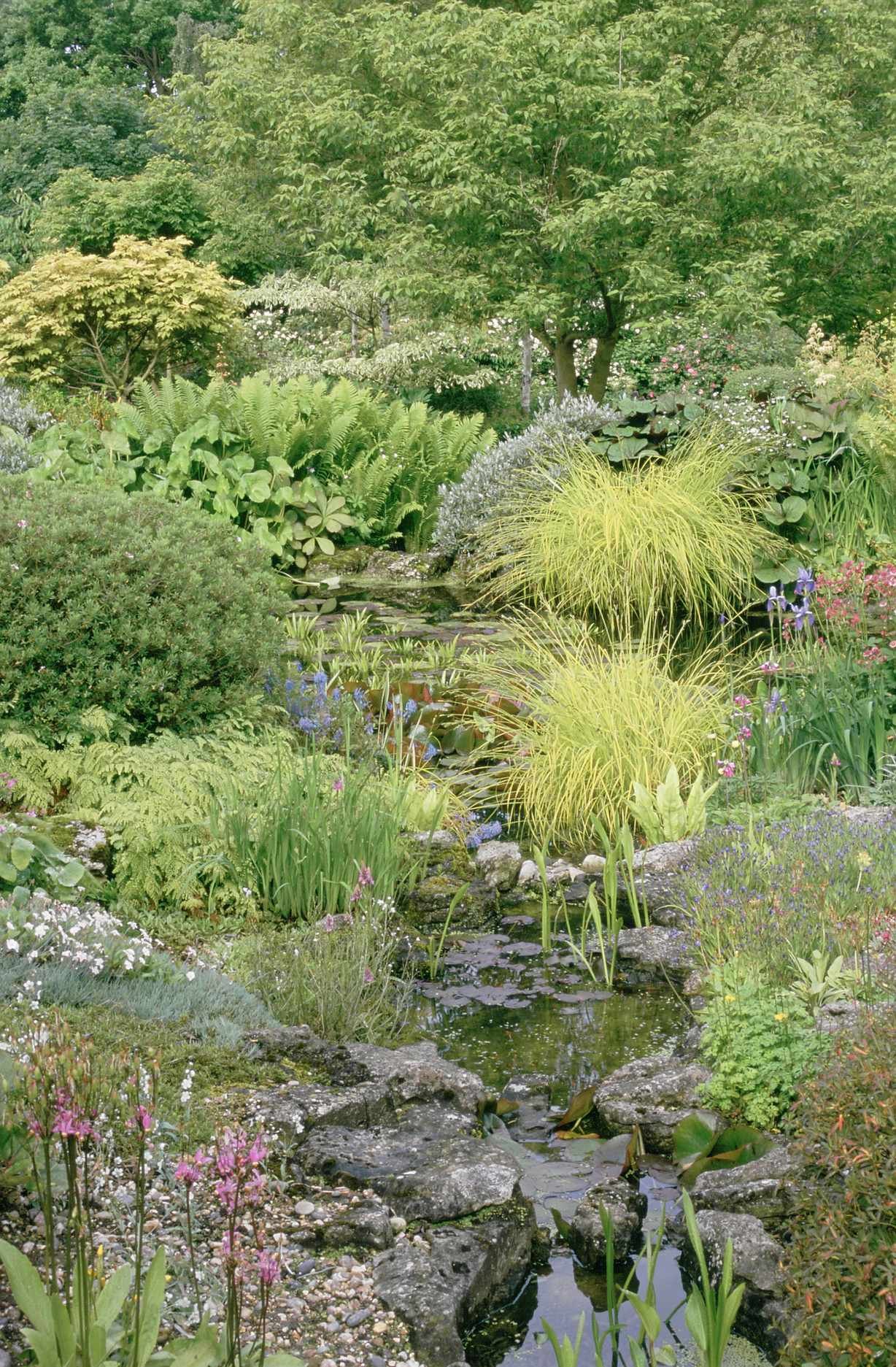 Rock garden surrounding pond and stream
