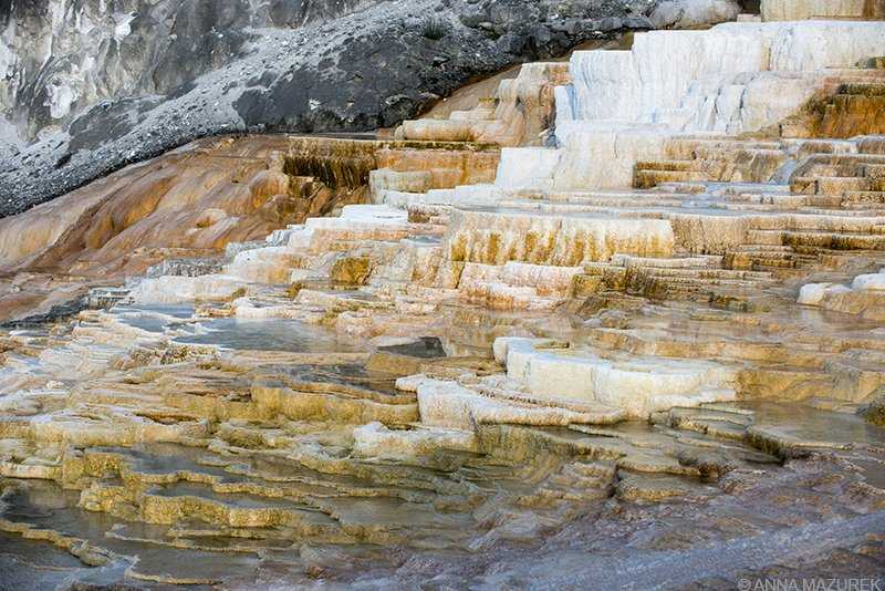 Yellowstone Photo Guide: Mammoth Hot Spring