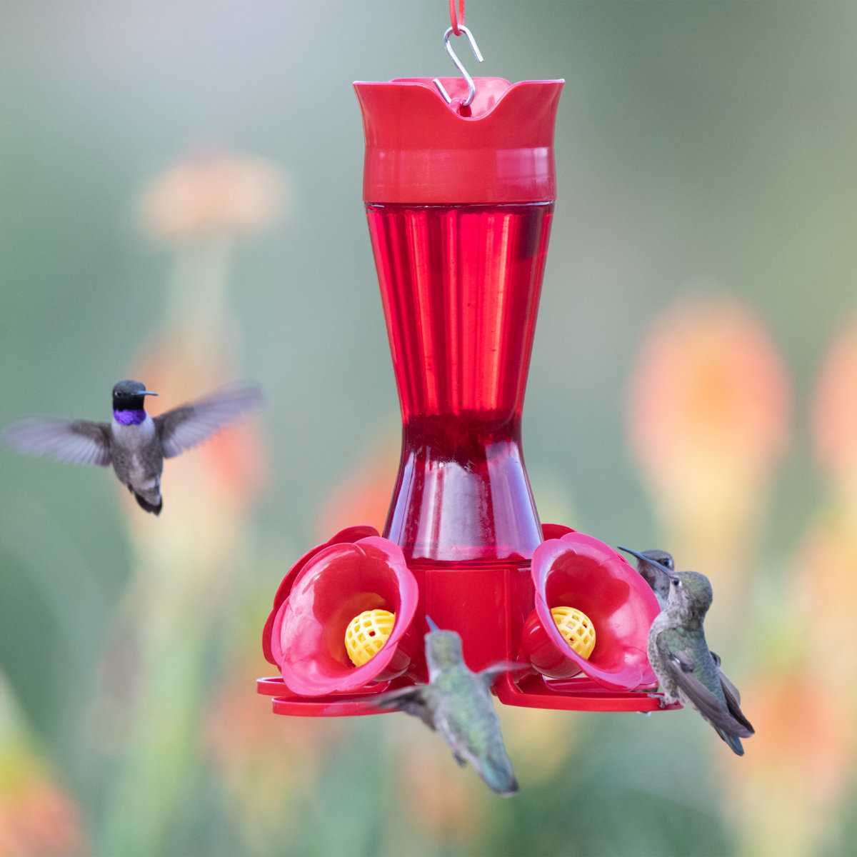 Bay Isle Home&trade; Elsass Plastic Pinch Waist Nectar Hummingbird Feeder &amp; Reviews | Wayfair