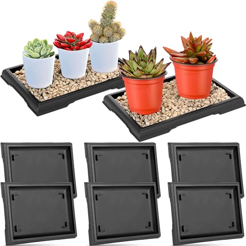 Pinkunn 2 Pcs Bonsai Humidity Tray Rectangular Drip Tray Plastic Plant Water Catcher Plant Saucers for Indoors and Outdoors Cactus,succulents,bonsai Tree,stone Not Included (7.8 X 5.5 Inch)