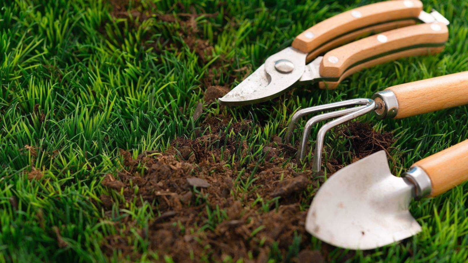Shoppers Say This Gardening Hand Tool is 'Much Stronger Than Any Other' They've Used – And it's Under $10 at Walmart