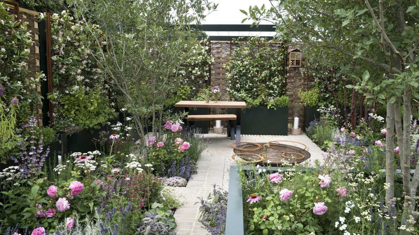 What to Plant in May – For a Garden That Practically Looks After Itself Throughout the Summer