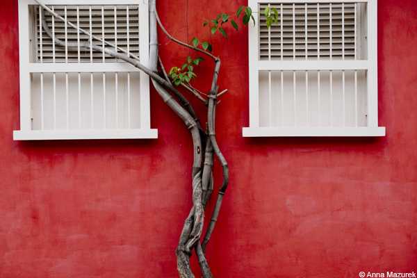 Getsemani, Cartagena, Colombia