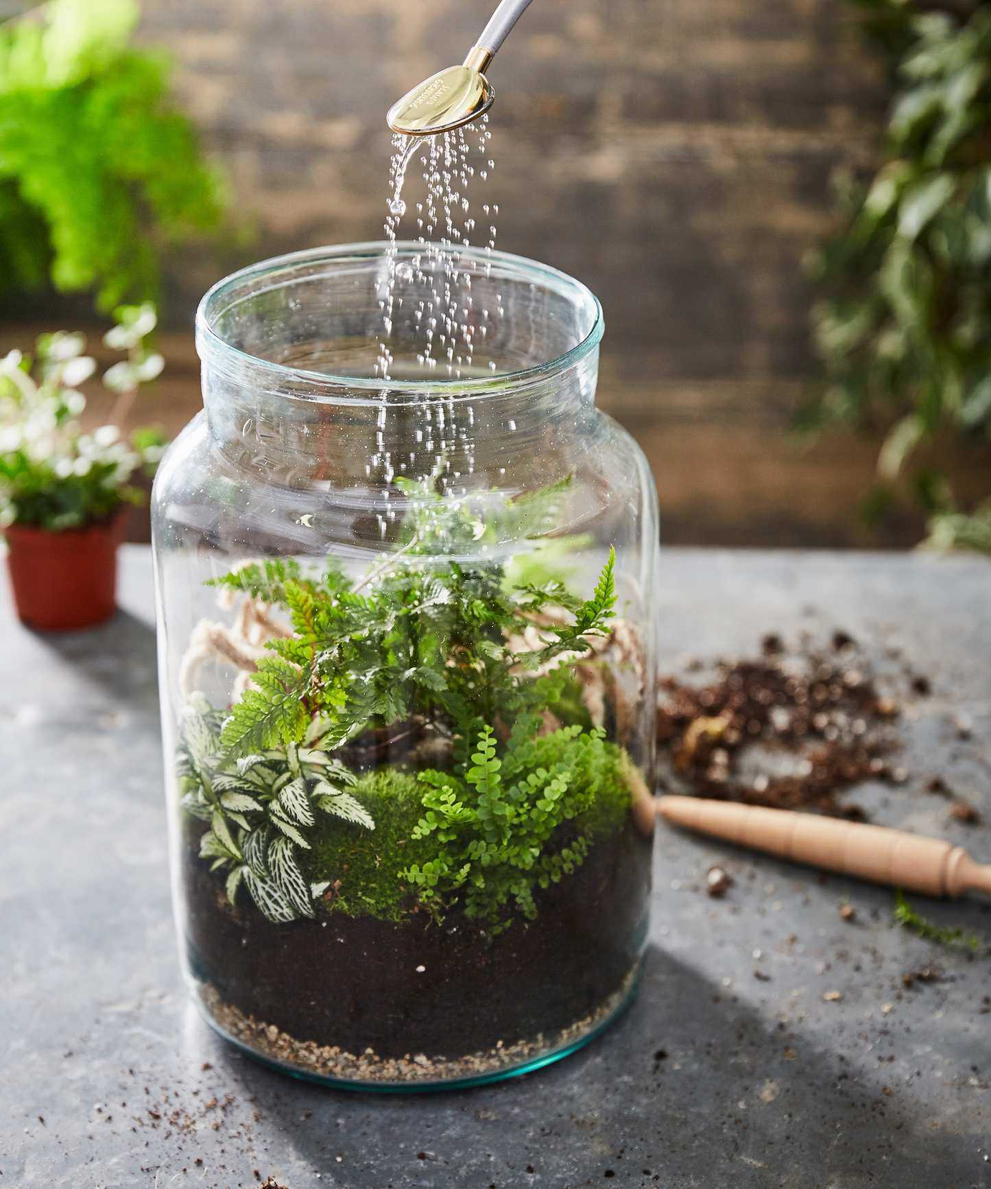 Person watering a terrarium