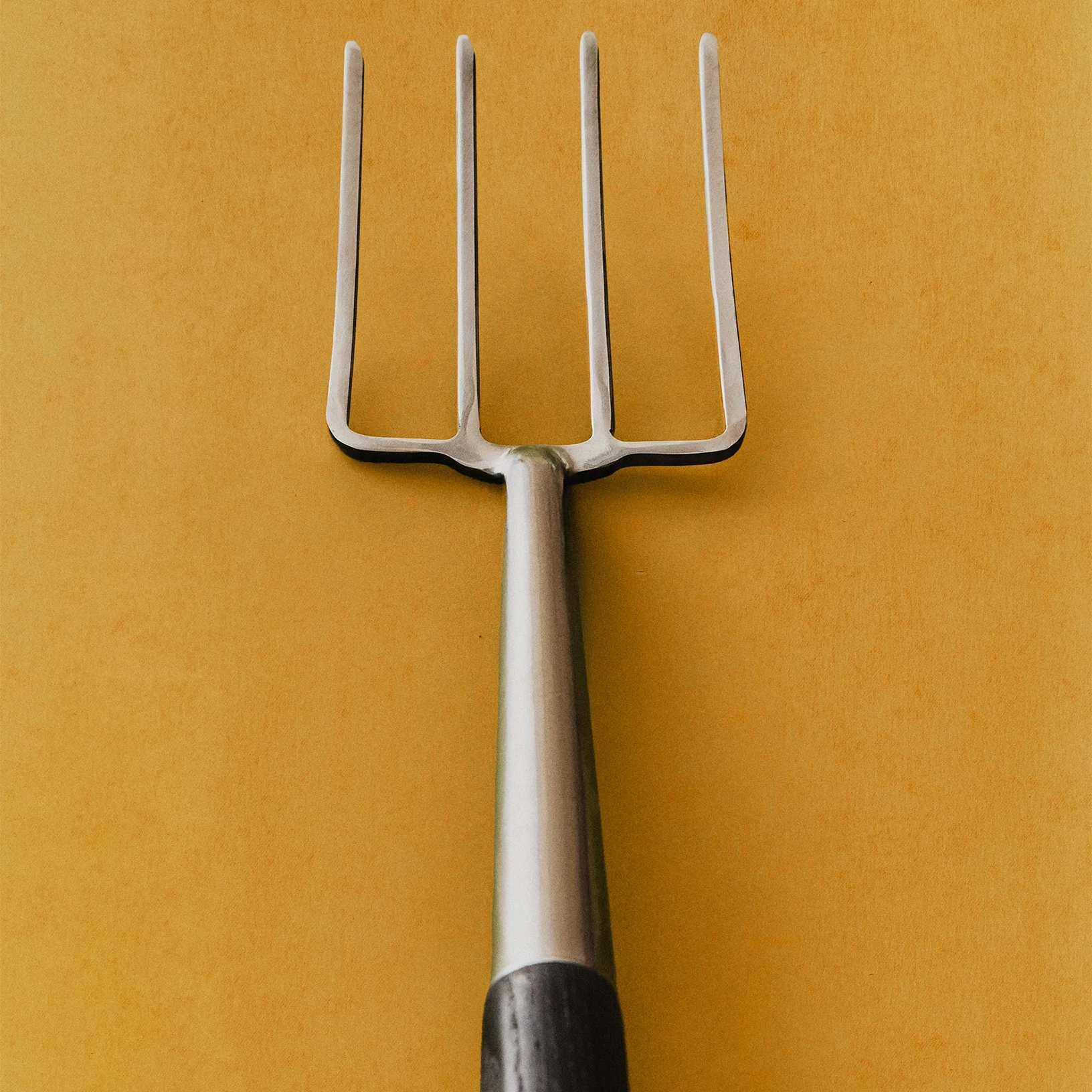 Garden Fork