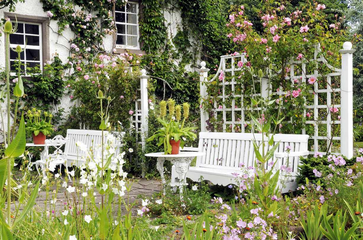 Trellis used to screen off different area in garden with benches