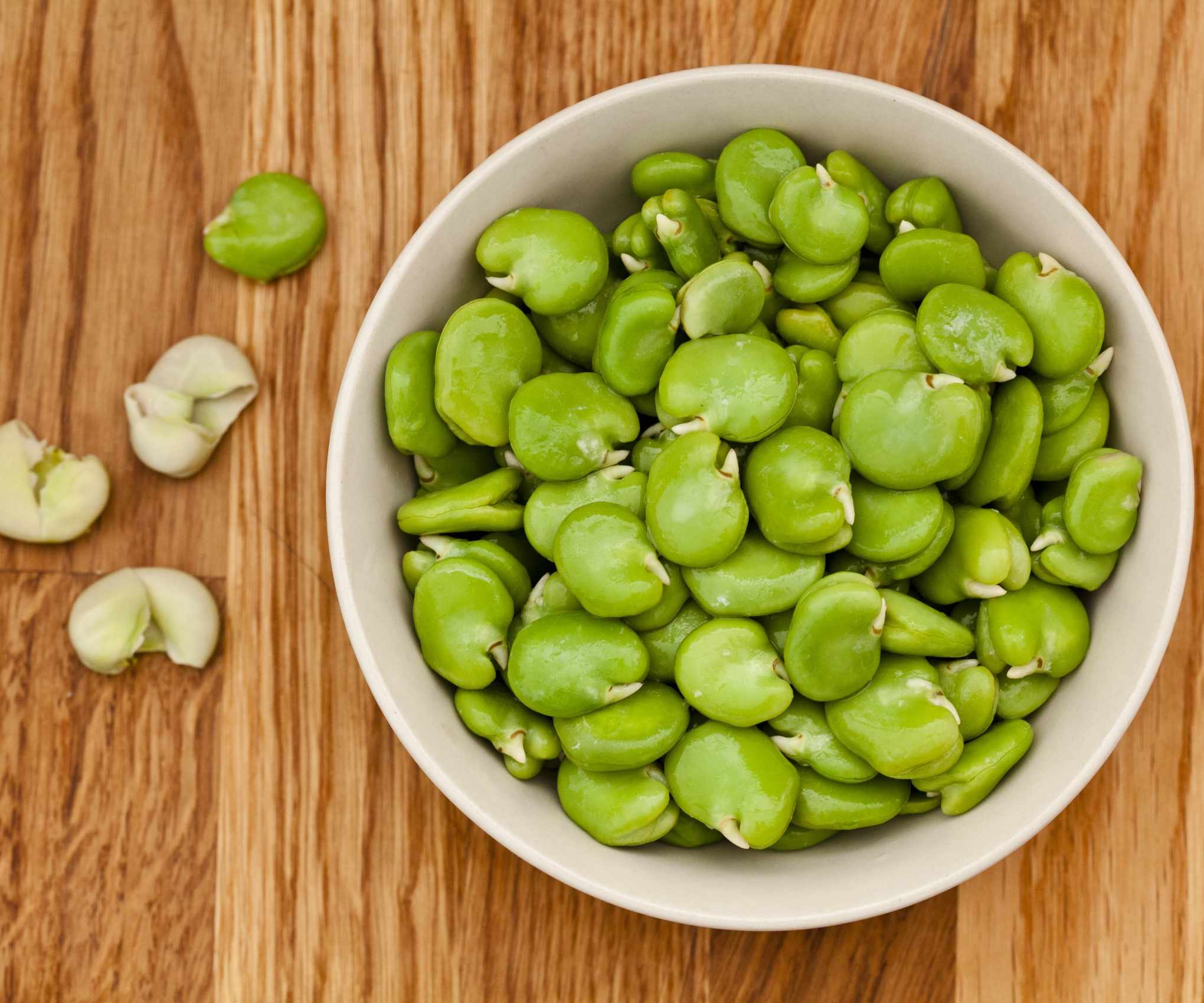 A bowl of freshly-harvested fava beans
