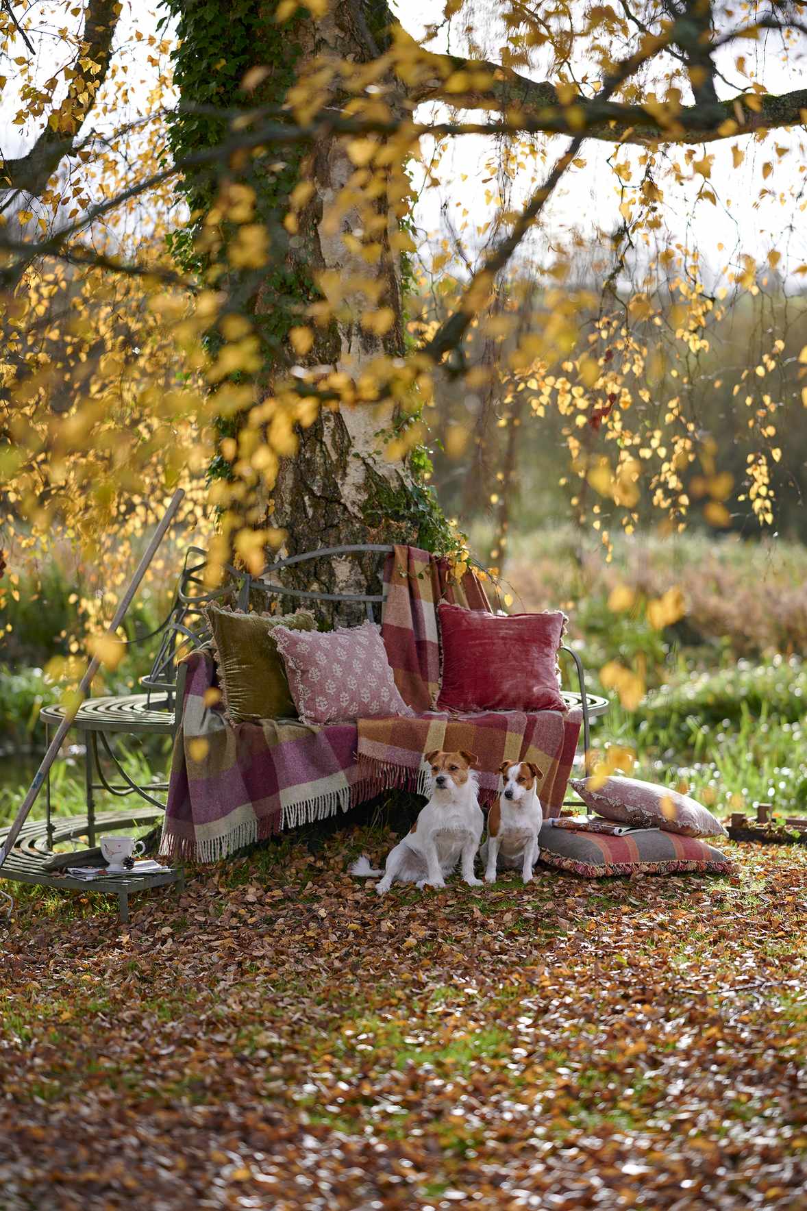 bench around tree with cushions and blankets on the bench