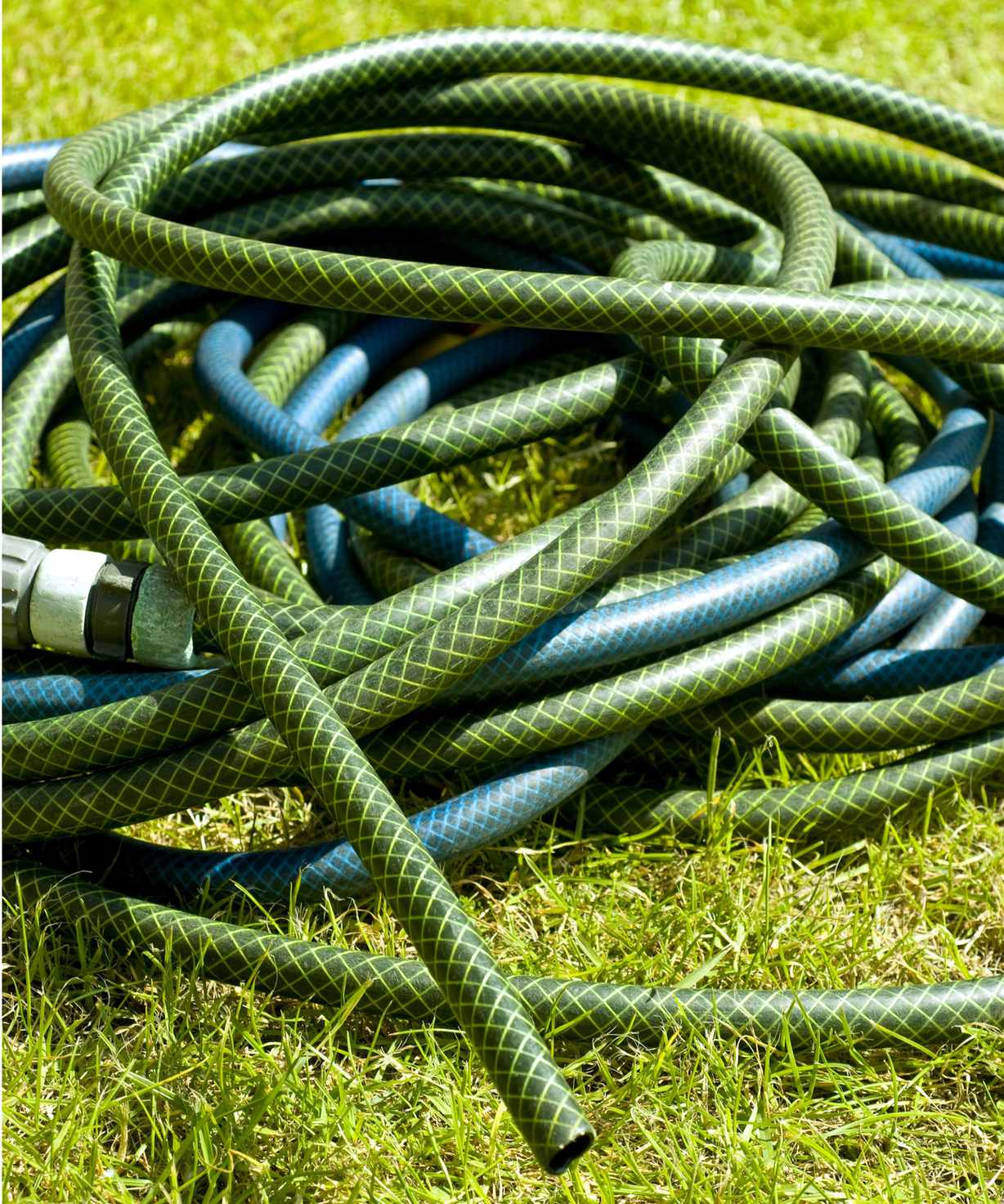 Garden hose in sunlight