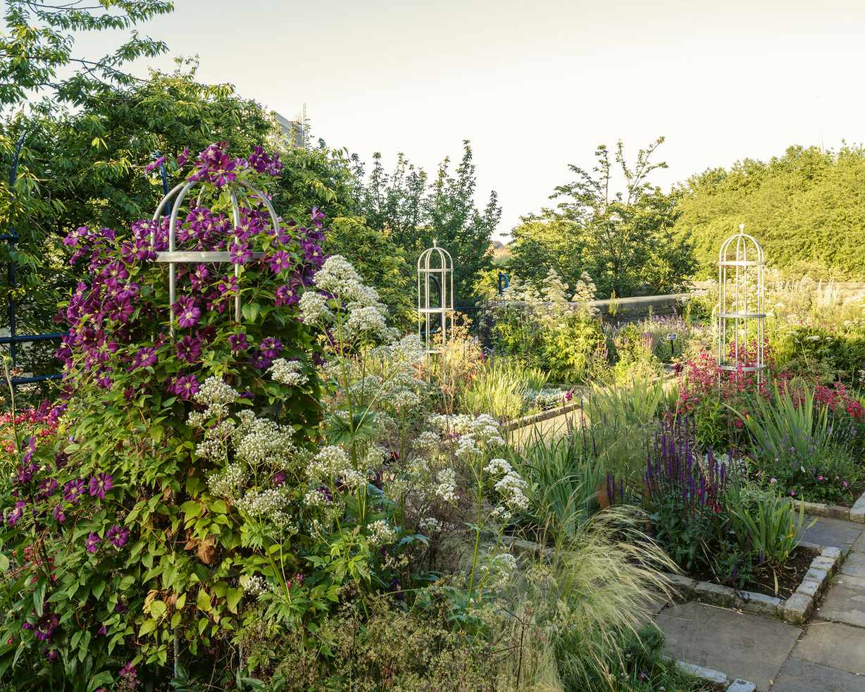 Trellis ideas with obelisks