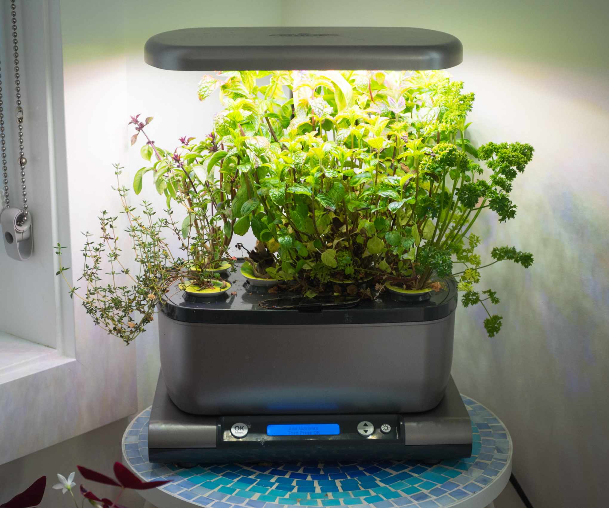 Hydroponic growing system