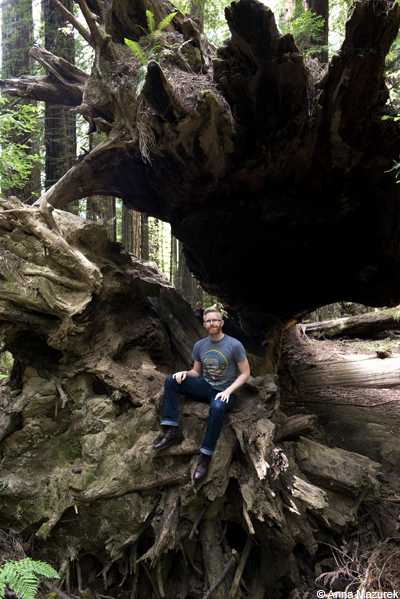 Humboldt Redwoods State Park, California