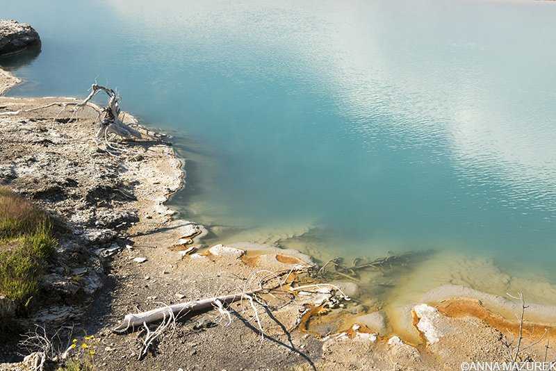 Best of 2017: Biscuit Basin