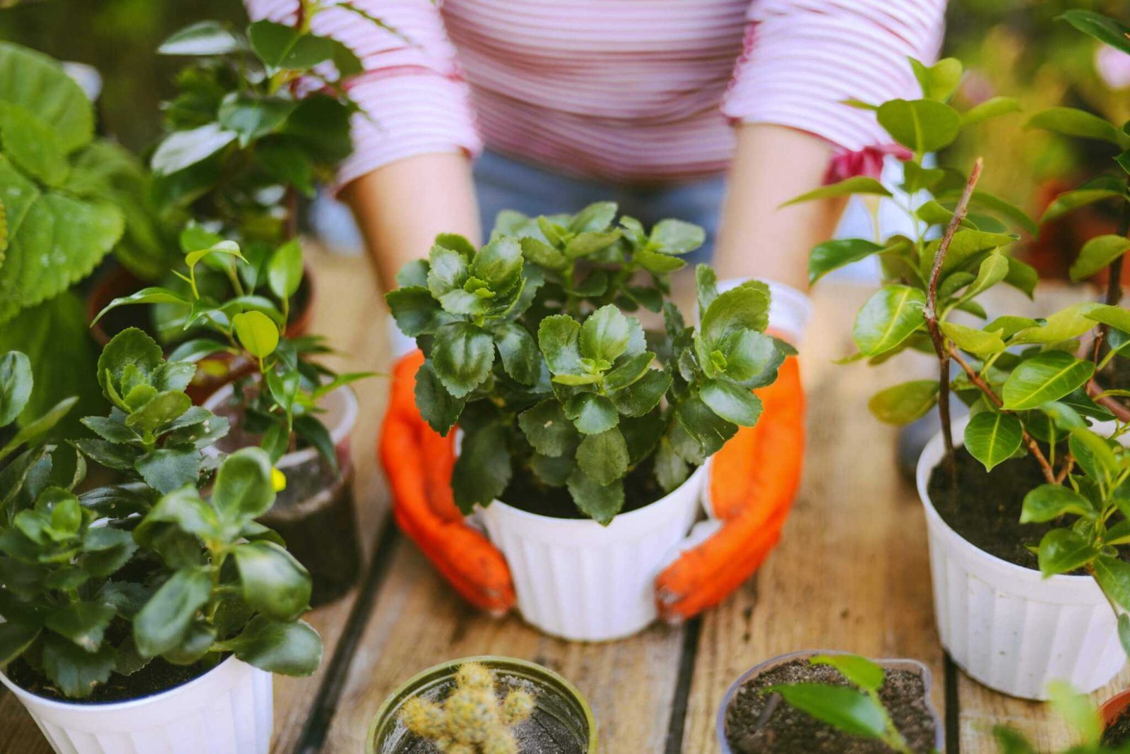 4 Easy Ways to Start Saving Today