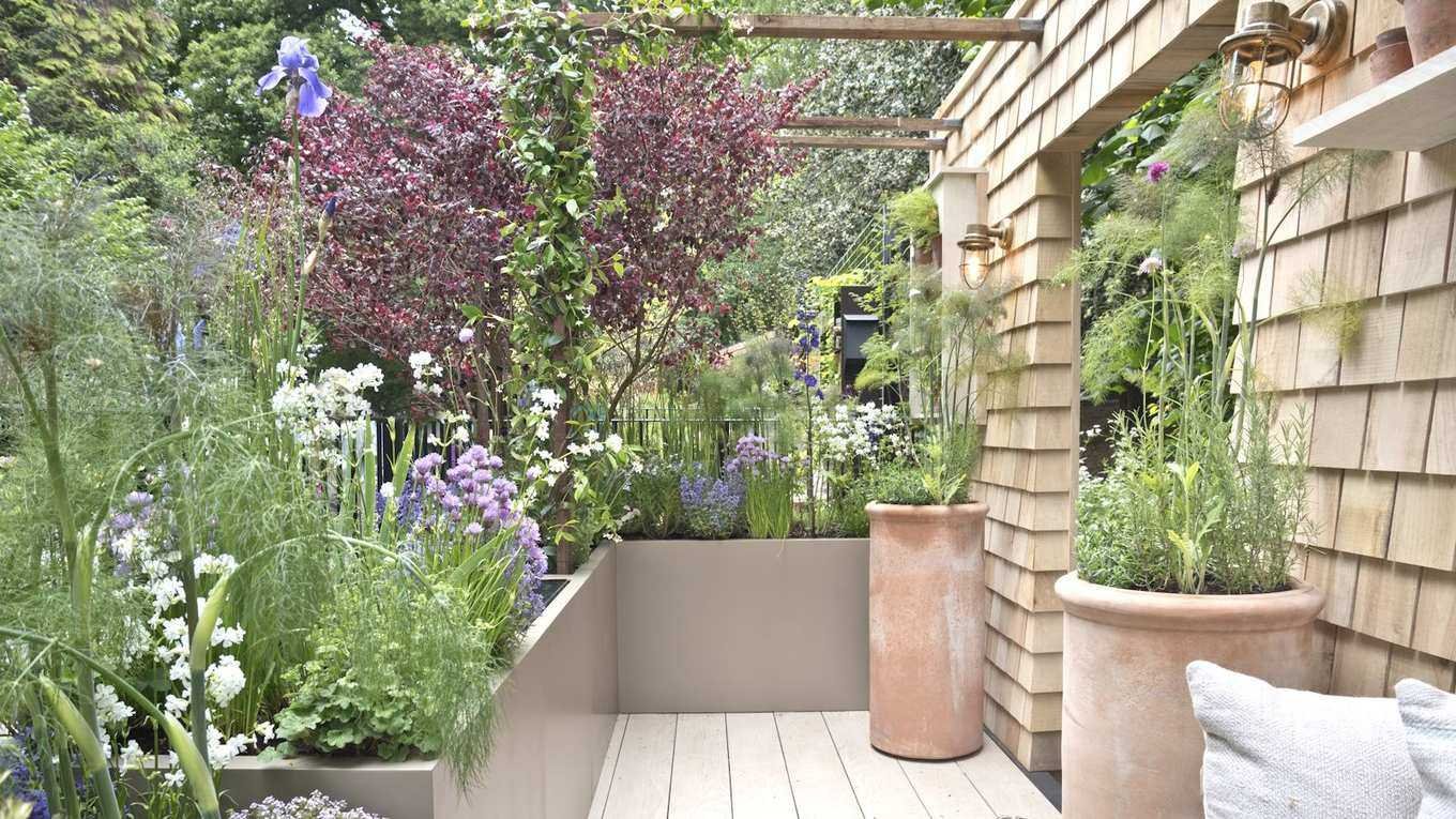 These are the flowers I'm planting in pots this May for non-stop summer color – expert advice from a professional gardener
