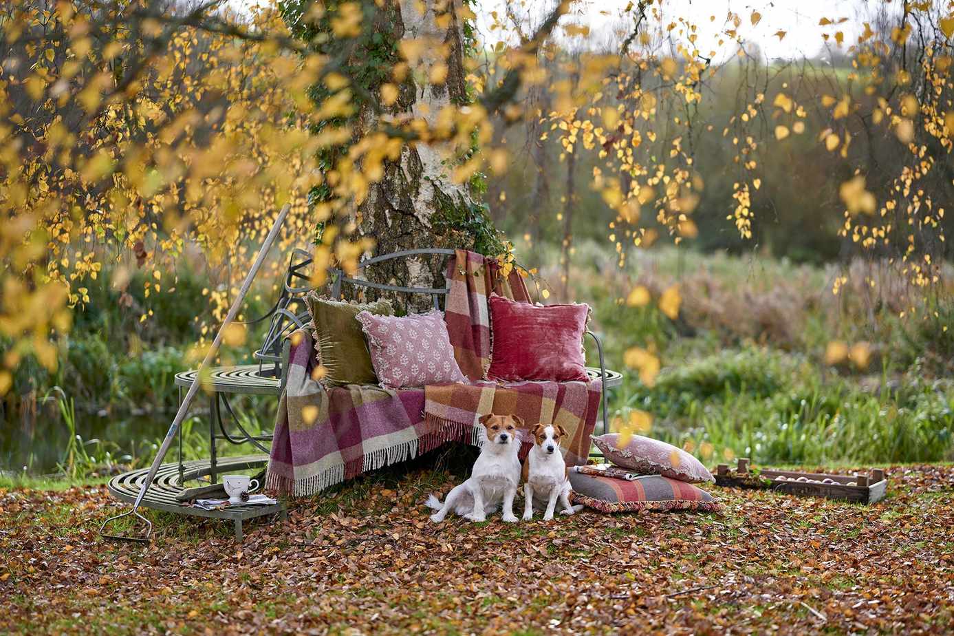 Landscaping around trees – 10 stunning ideas