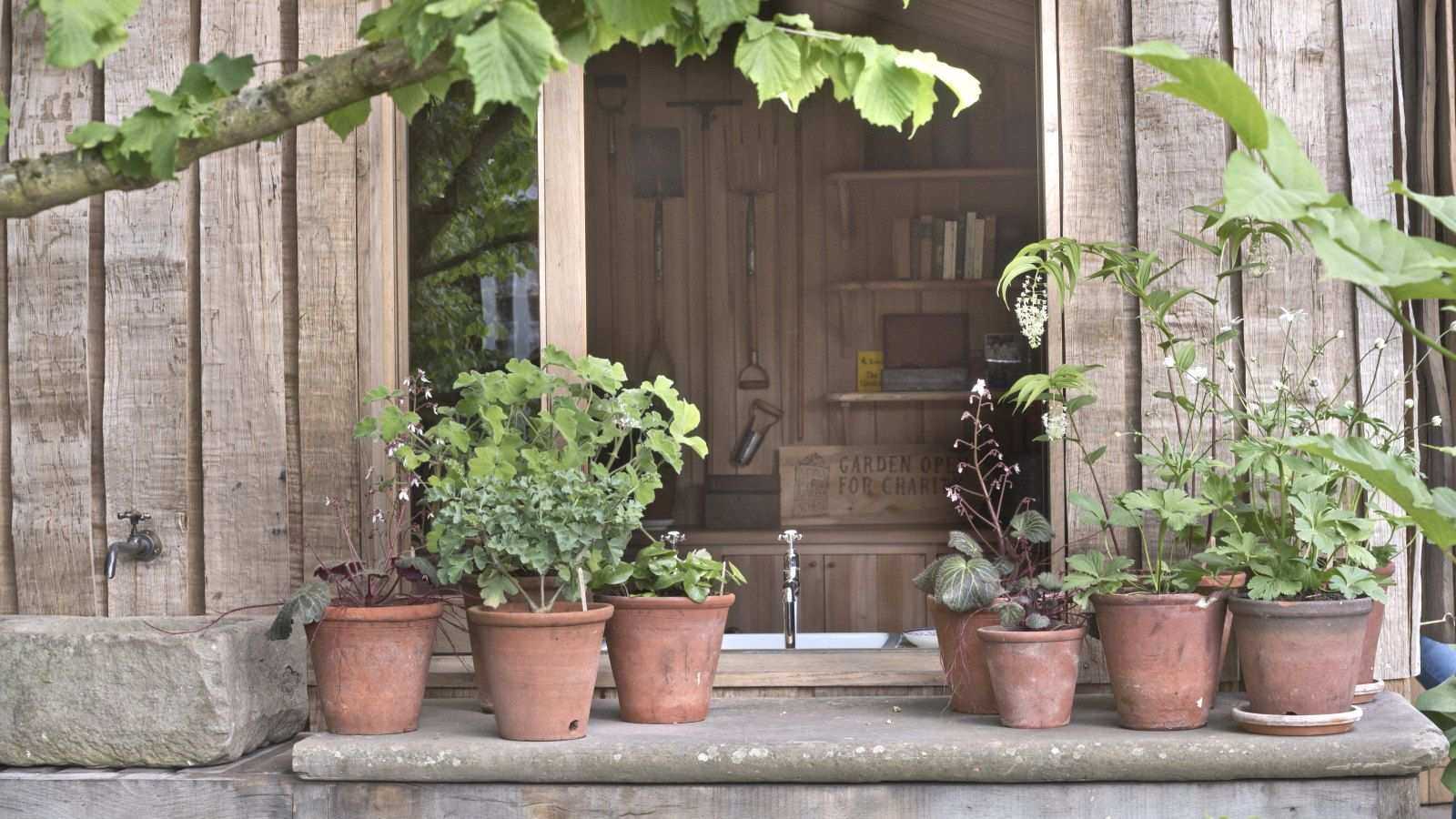 The Simple Way To Replenish Container Soil Before Summer – So You Can Keep Reusing It For Years