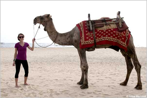 The Myth About Travel & Luck - Travel Like Anna
