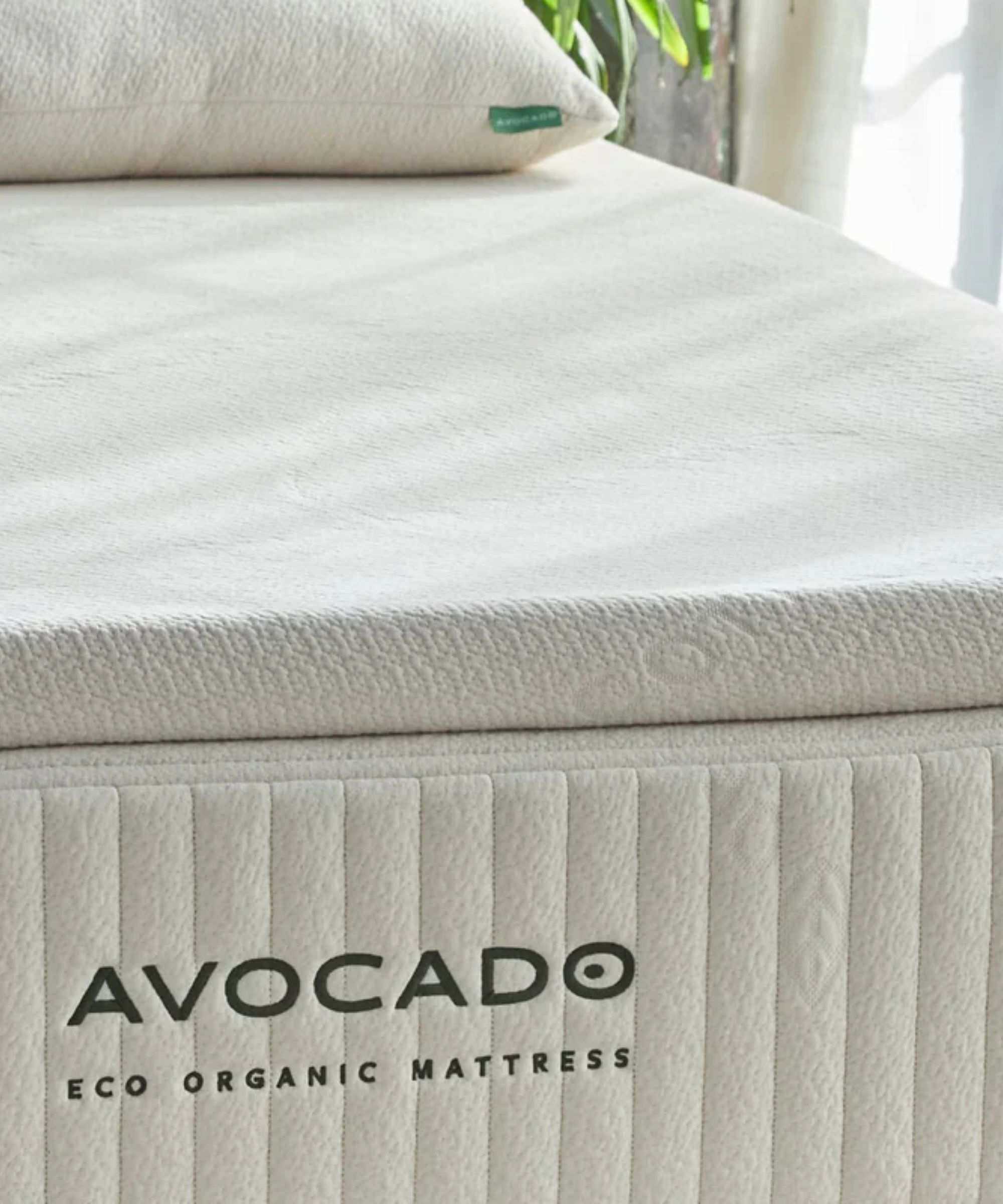 A white Avocado Latex Mattress Topper on top of a white Avocado mattress with green lettering, with a white pillow. To the right is a houseplant with a window behind sheer white curtains.