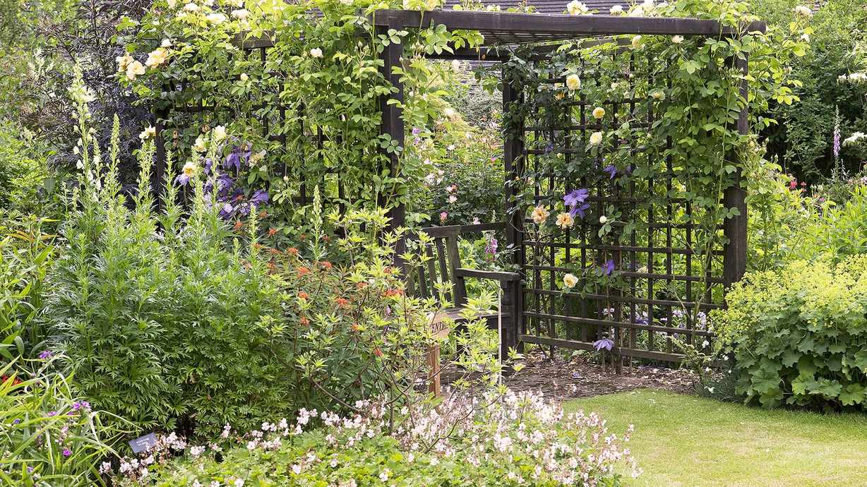 Trellis ideas – 17 beautiful ways to add vertical interest