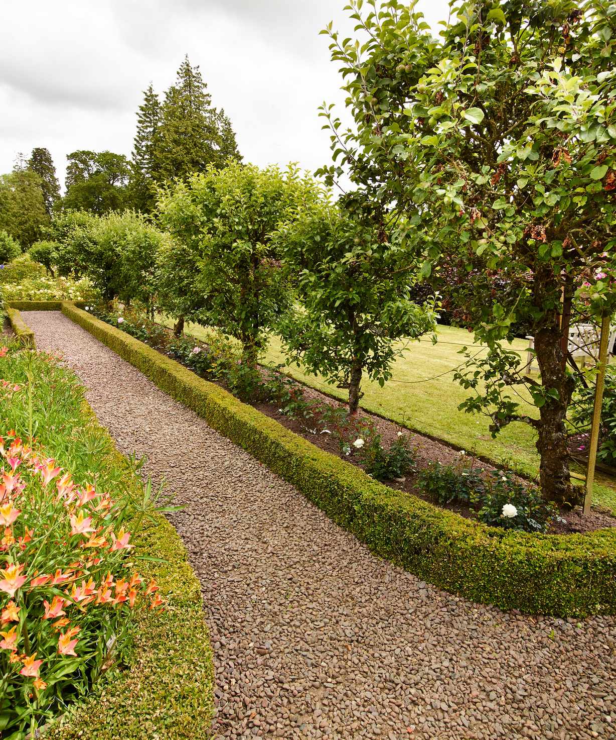 Long garden with gravel pathways and hedges
