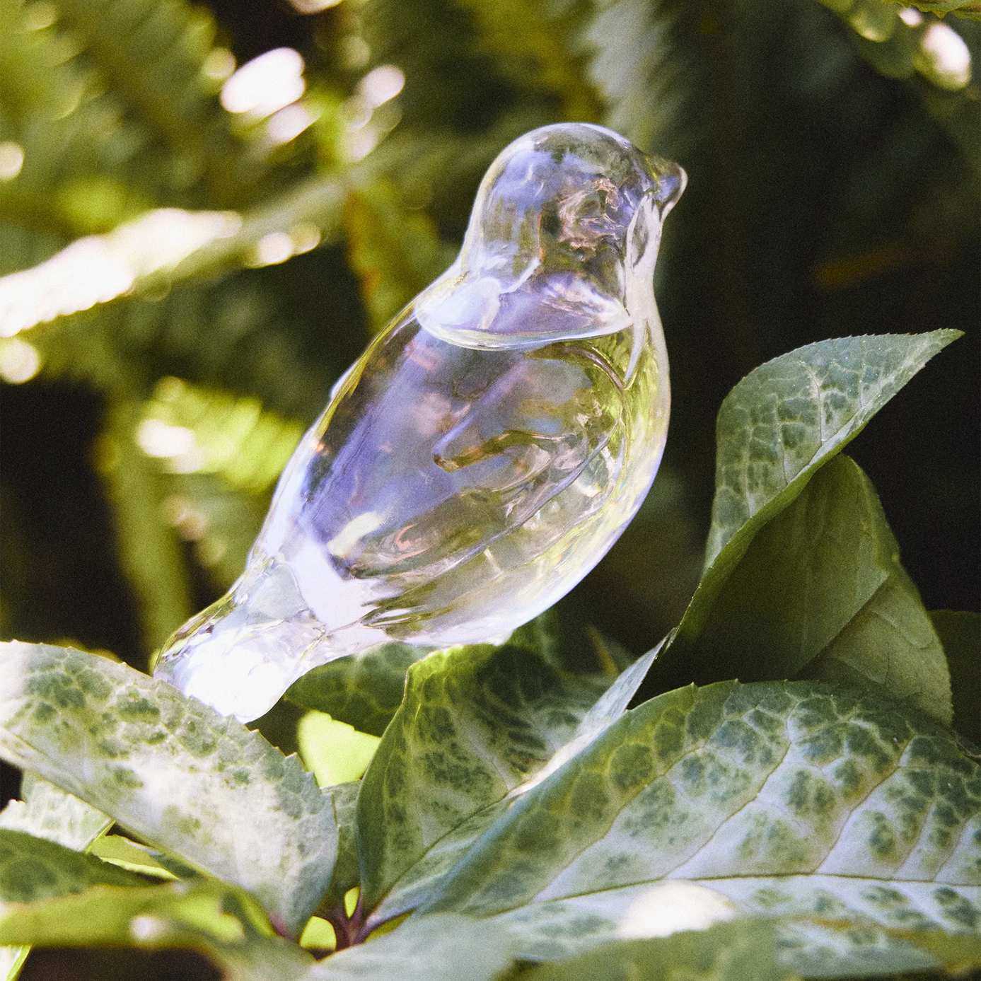 Self-Watering Globe