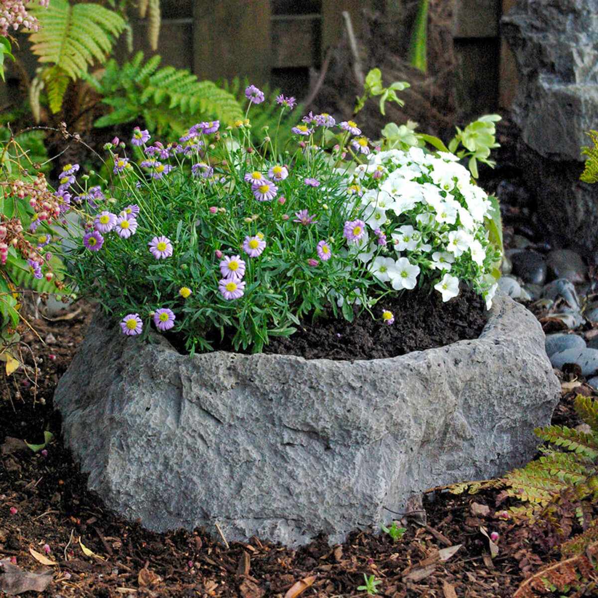 Millwood Pines Domoni Plant Stand &amp; Reviews | Wayfair