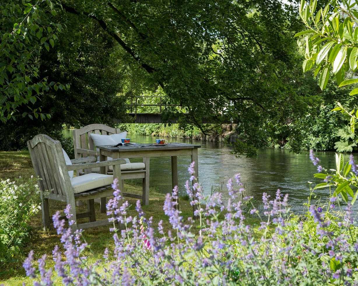Rewilding: 10 ways to rewild your garden