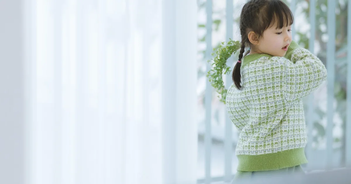 10 Andersen Windows Shopping Hacks Frugal Shoppers Swear By