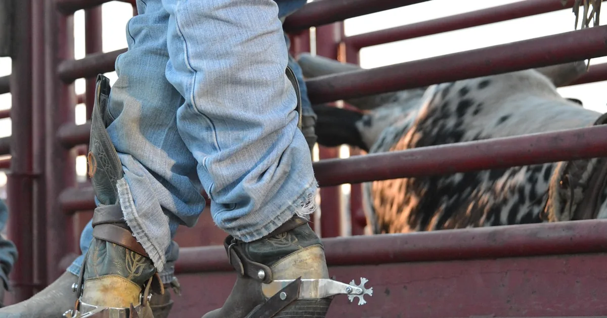 What to Know Before Shopping Ariat (2026)