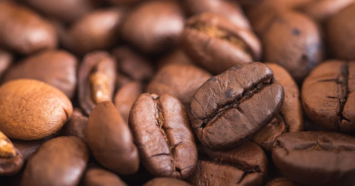 Is Bluebottlecoffee Worth It? An Honest Shopper's Review + 2026 Codes