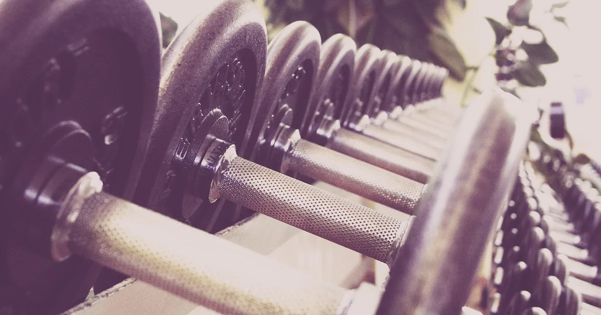 What to Know Before Shopping Bodybuilding (2026)