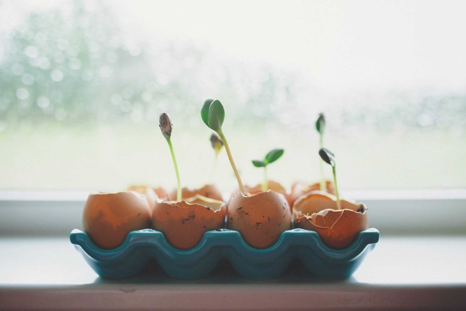 IRA vs. 401(k) – What’s the Difference?