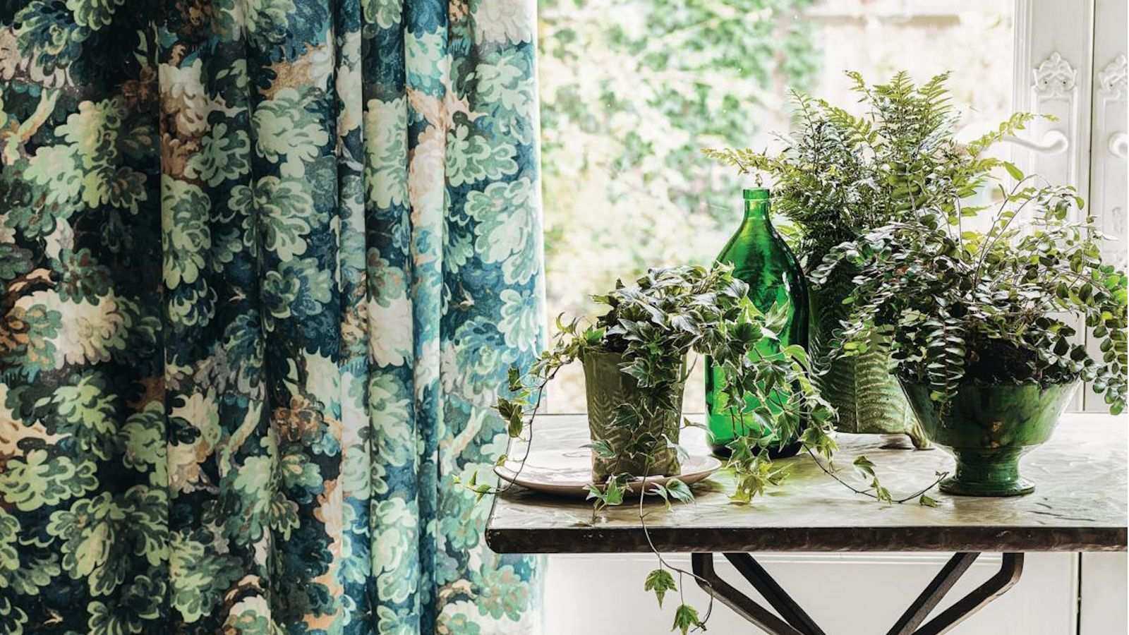 5 Easy Steps to Rescue Clearance Houseplants That Work Every Time