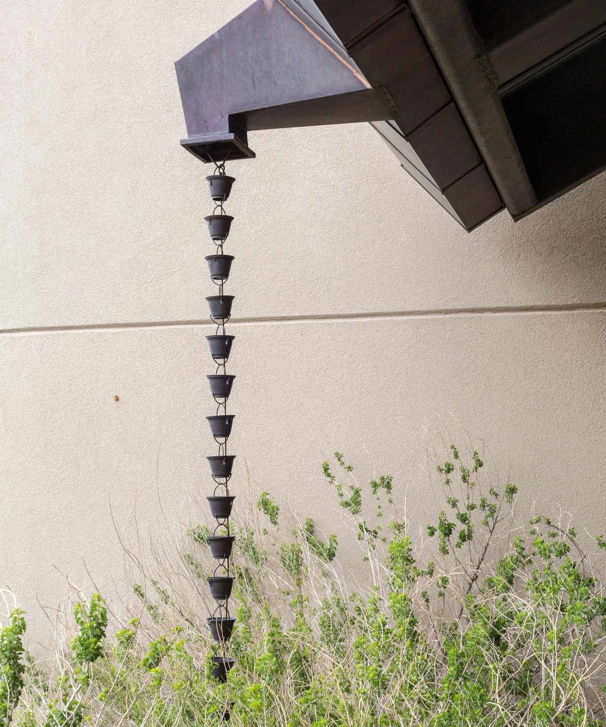 Rain chain in a wet garden