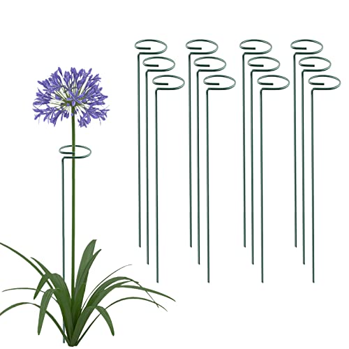 Thealyn 12 Pack 16 Inch Plant Support Stakes, Metal Single Stemmed Flower Support Hoops，garden Plant Stakes Plant Prop for Amaryllis Orchid Lily Rose Peony Tomatoes Gladiolus