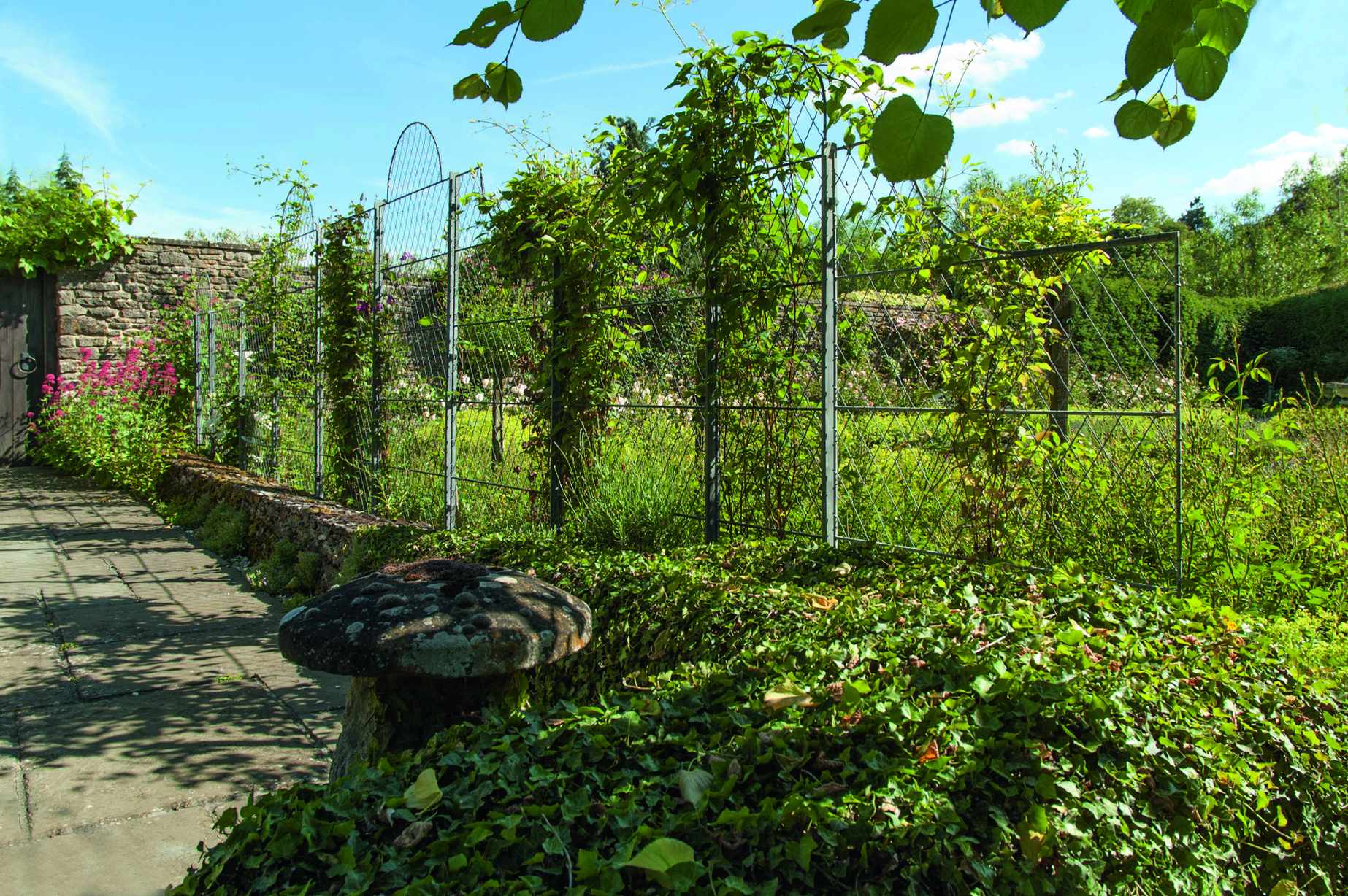 Garden Requisites wirework trellis fence