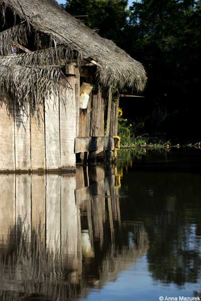 Amazon, Iquitos, Peru